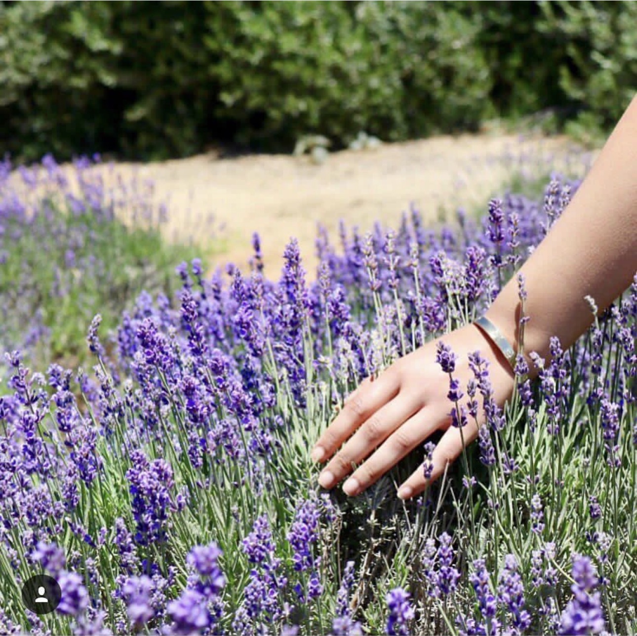 Hand in grass symbolic image